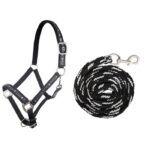 HKM Head collar & lead rope, snap hook -Stars- - Image 2