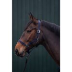 HKM Head collar -Innsbruck- - Image 2