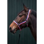 HKM Head collar -Budapest- - Image 2