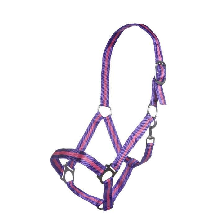 10148_8518_1_9604 HKM Head collar -Budapest- - Image 1