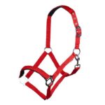 HKM Head collar -Sydney- Style, with soft padding - Image 9