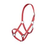 HKM Head collar -Brisbane- - Image 5
