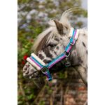 HKM Head collar for pony -Funny Horses- - Image 2