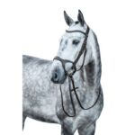 HKM Bridle -Anatomic Sports- - Image 4