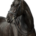 HKM Double bridle -Dina
