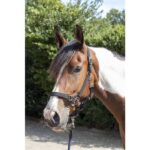 HKM Head collar -Safe Control- Style - Image 5