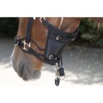 HKM Head collar -Safe Control- Style - Image 4