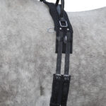 HKM Lunge roller -Canvas- with handle