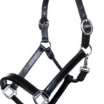 HKM Leather head collar -Economic
