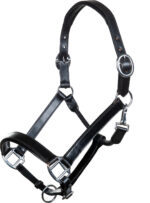 HKM Leather head collar -Economic