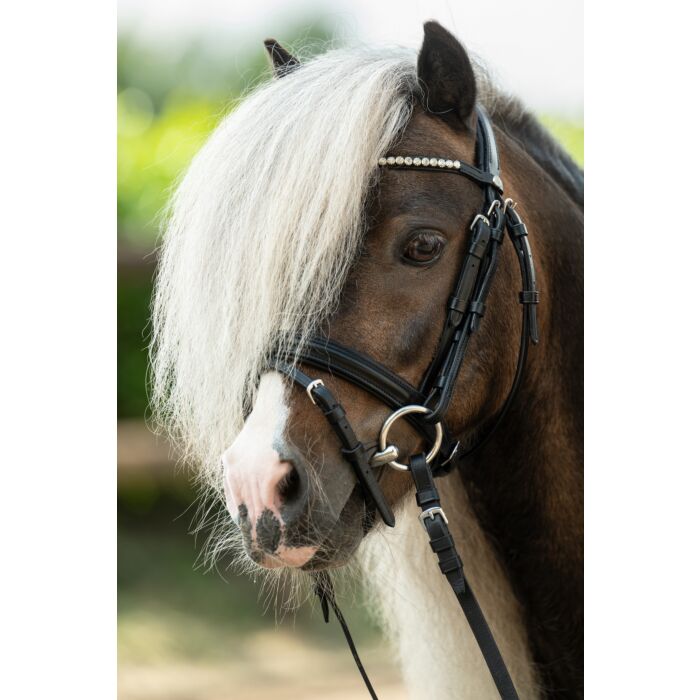 12792_9100_moodpictures_2_63112 HKM Bridle -Shetty Diamond- - Image 1