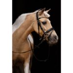 HKM Bridle -Shetty Diamond- - Image 3