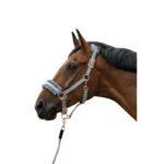 HKM Head collar -Rosegold Glamour- Style - Image 2