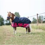 HKM Turnout rug -Mini- 600D - Image 3