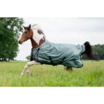 HKM Turnout rug -High Comfort- Style fleece lining - Image 3