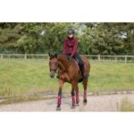HKM Softshell jacket -Lily- - Image 15