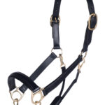 HKM Leather head collar -Gold