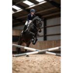 HKM Riding helmet -Carbon Professional- - Image 4