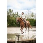 HKM Ear bonnet -Lavender Bay- - Image 2