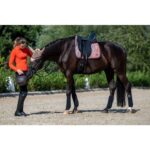 HKM Saddle cloth -Savona- Style - Image 6
