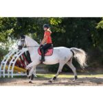 HKM Saddle cloth -Savona- Style - Image 3