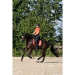 HKM Polo shirt- Savona- Style - Image 2