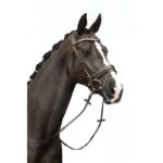 HKM Bridle -Sofia- - Image 7