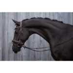 HKM Bridle -Sofia- - Image 4