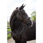 HKM Bridle -Sofia- - Image 3