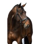 HKM Bridle -Sofia- - Image 6