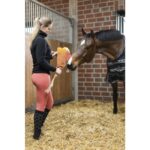 HKM Toy for horses -Ice cream- - Image 4