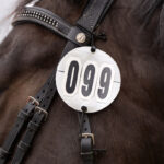 HORKA COMPETITION NUMBERS ROUND (pair) - Image 2