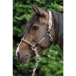 HKM Head collar -Carlotta- - Image 10