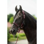 HKM Head collar -Carlotta- - Image 3