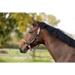 HKM Head collar -Carlotta- - Image 5