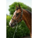 HKM Head collar -Carlotta- - Image 13