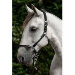 HKM Head collar -Carlotta- - Image 4