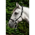 HKM Head collar -Carlotta- - Image 2