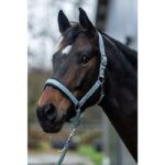 HKM Head collar -Catherine- - Image 2