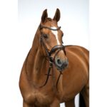 HKM Bridle -Ira- - Image 5