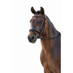 HKM Bridle -Ira- - Image 4
