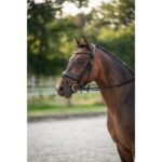 HKM Bridle -Ira- - Image 2
