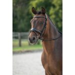 HKM Bridle -Ira- - Image 3