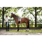 HKM Lunge line -Catherine- - Image 4