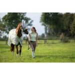 HKM Anti-fly mask -Flamingo - Image 3