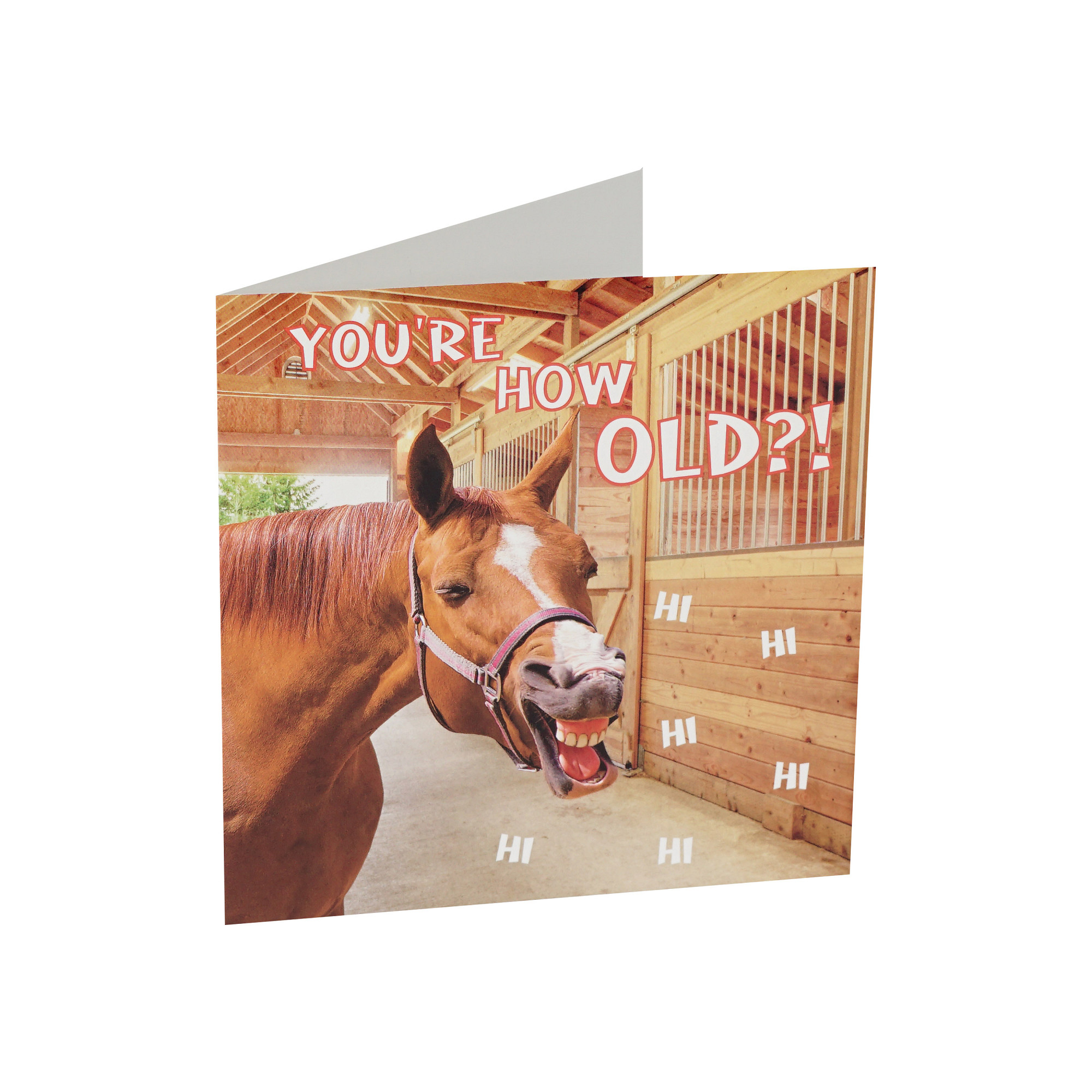 145881-0000-7996 HORKA Greeting Card HORSES - Image 1