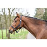 HKM Head collar -Classic- - Image 5