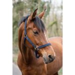 HKM Head collar -Classic- - Image 4