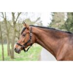 HKM Head collar -Classic- - Image 3