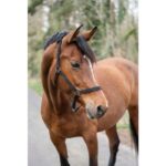 HKM Head collar -Classic- - Image 2